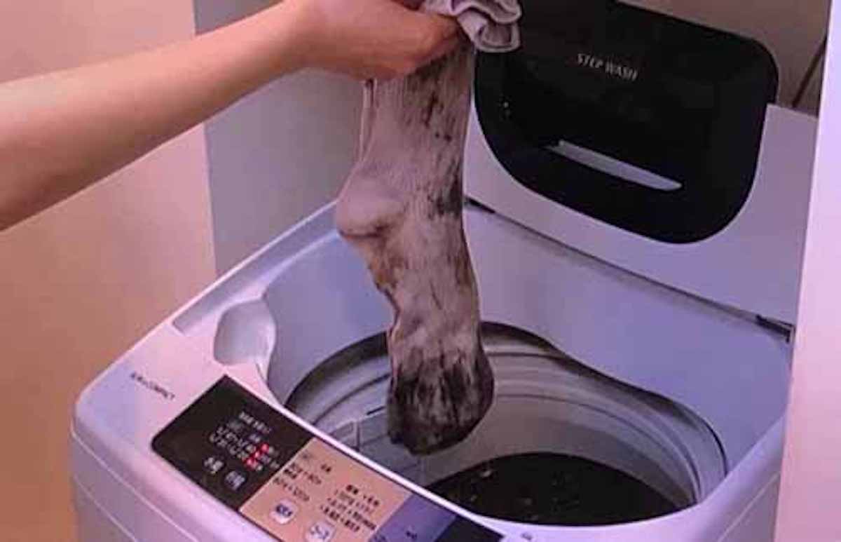 汚れた靴下をキレイに洗濯する方法：ソレダメ！【2018/03/07】
