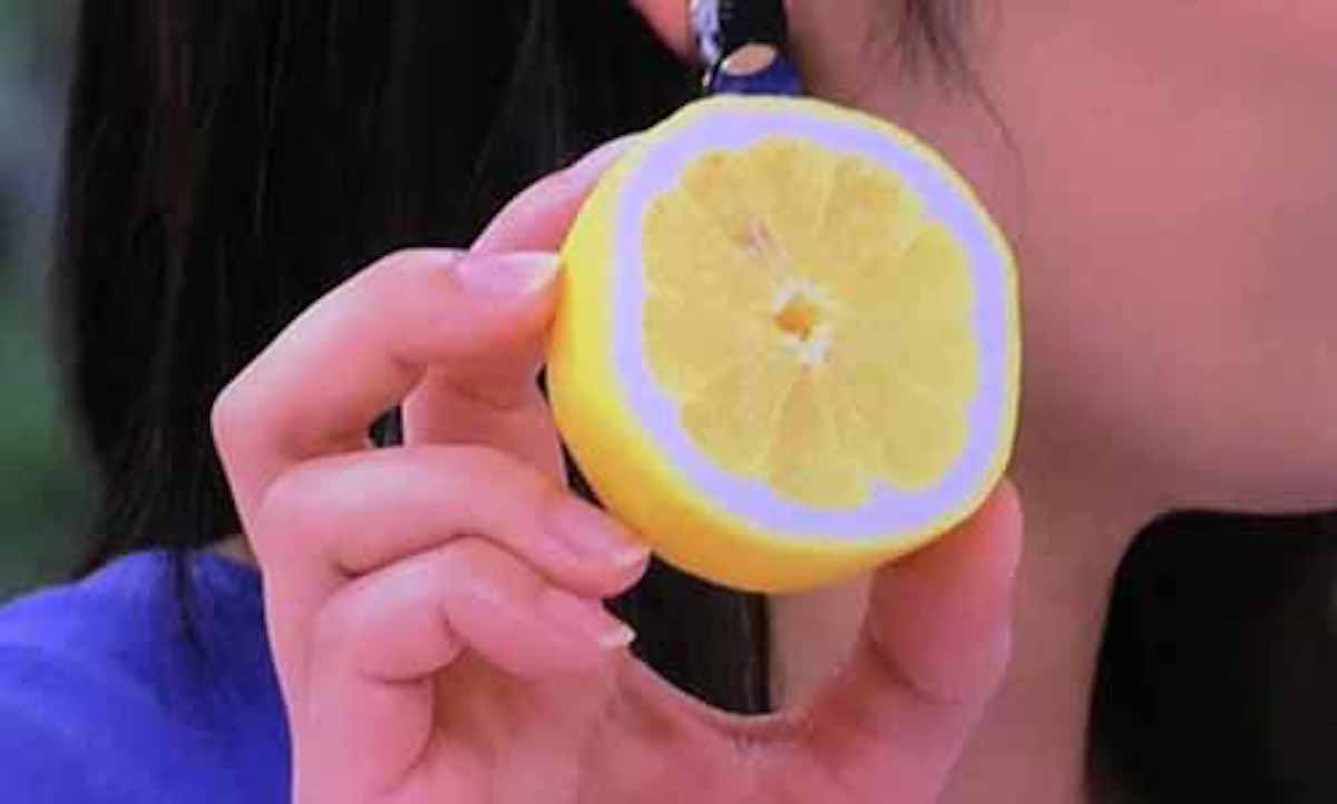 レモンを食べると骨が丈夫になる！？という話：めざましテレビ【2018/04/28】