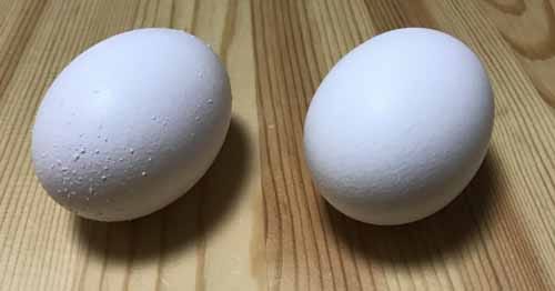 ブツブツのついた卵と普通の卵