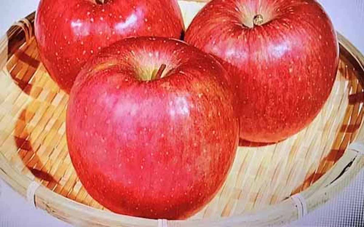 赤いリンゴが消えていく！？という話：所さん！大変ですよ【2019/01/31】