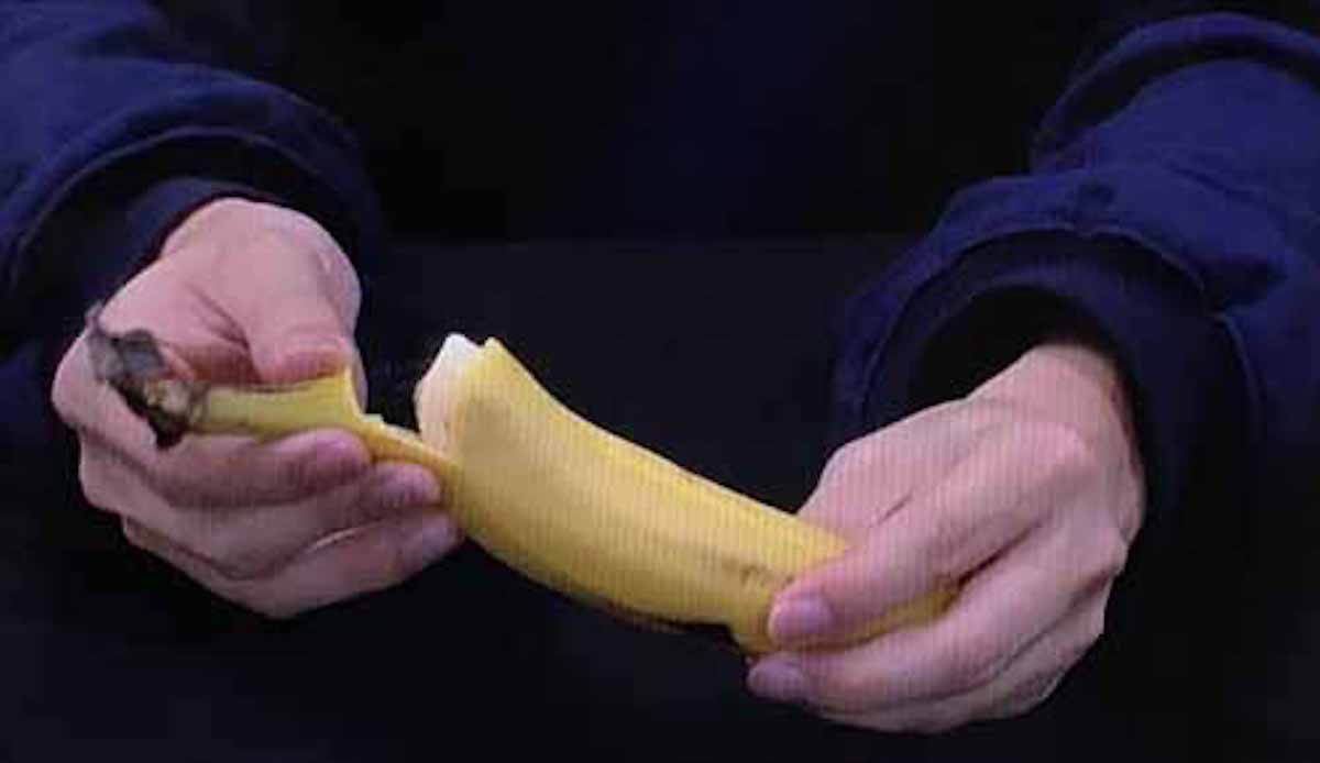 バナナの皮を早く剥く方法：月曜から夜ふかし【2019/02/04】