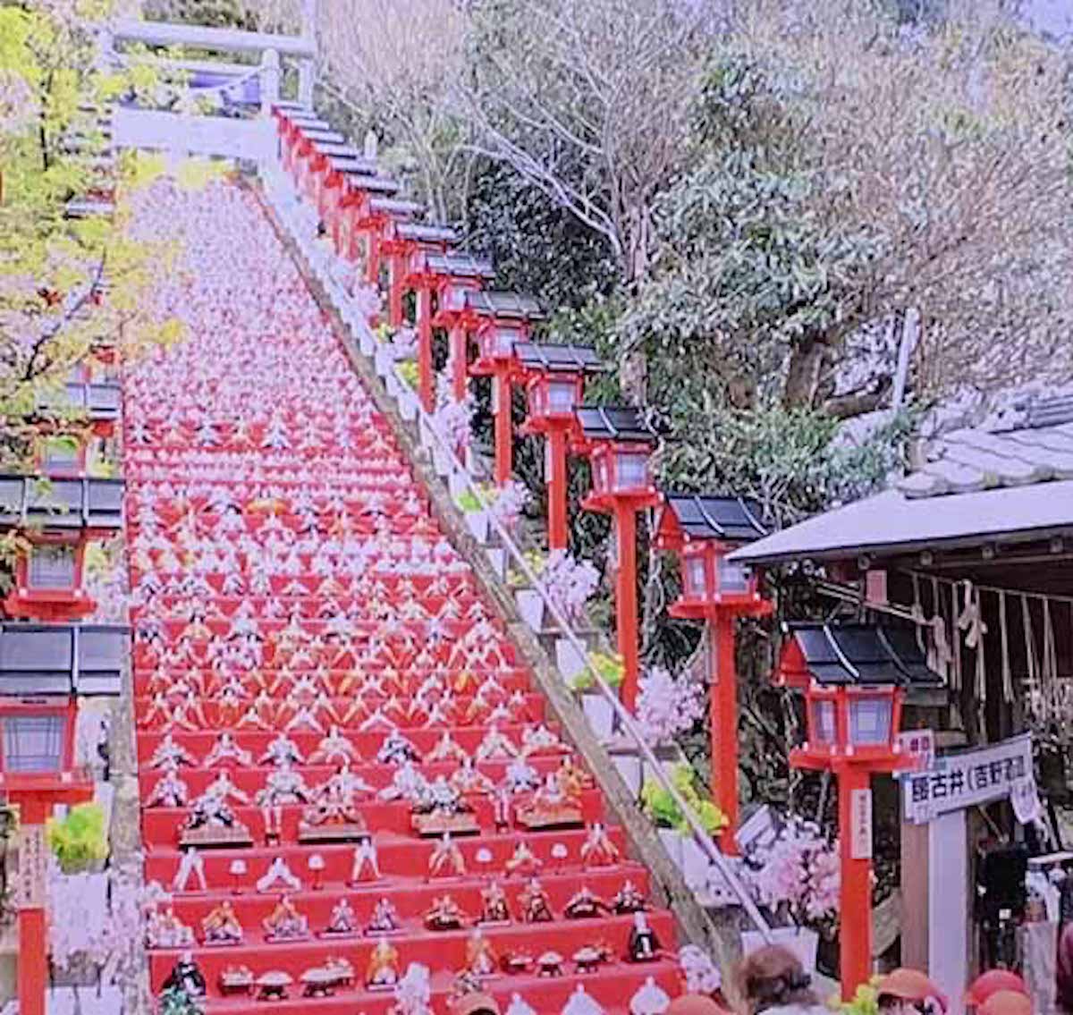 【千葉県】勝浦市のひな飾りがスゴすぎる！という話：ひるおび！【2019/02/27】