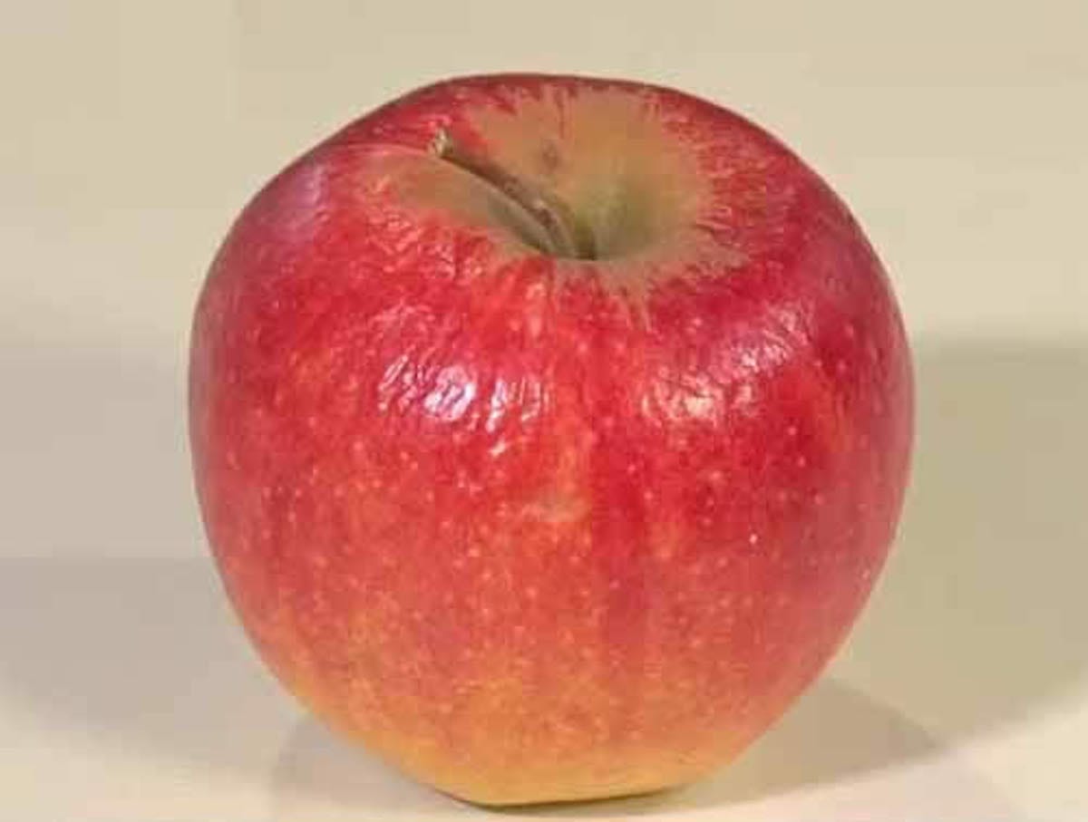 余ったリンゴでジャムを作る方法：ＺＩＰ！【2019/03/19】