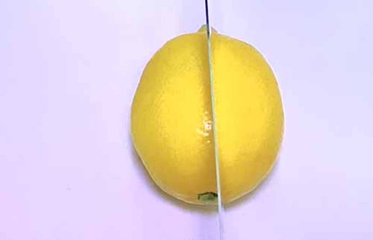 レモンの切り方で搾り汁の量が変わる！という話：大阪ほんわかテレビ【2019/04/05】