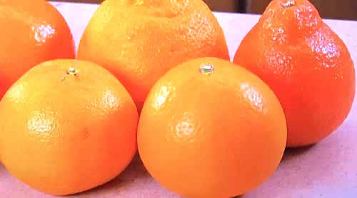 皮が厚い柑橘類を食べやすく剥く方法：ソレダメ！【2019/04/17】