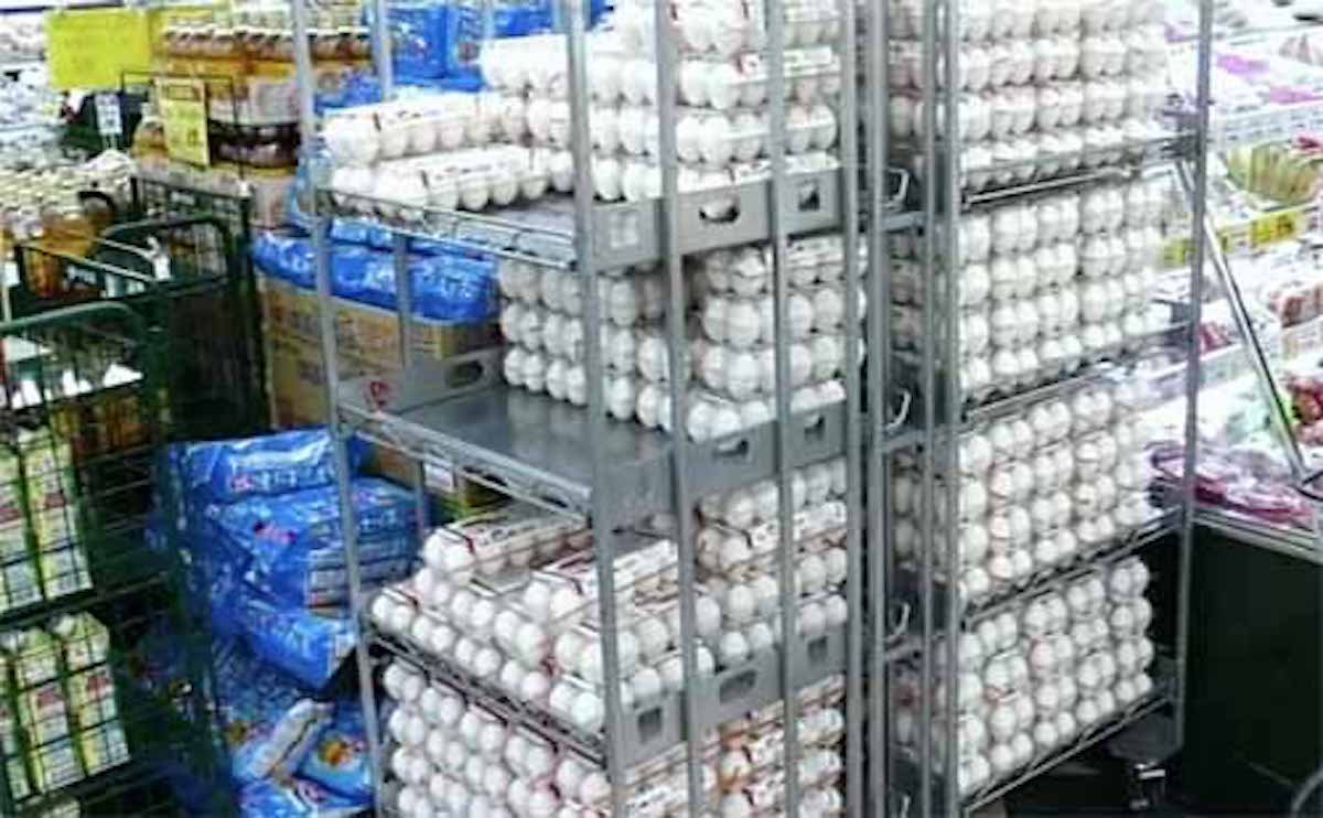 常温で売られている卵を家では冷蔵保存する理由：林修のニッポンドリル【2019/10/16】