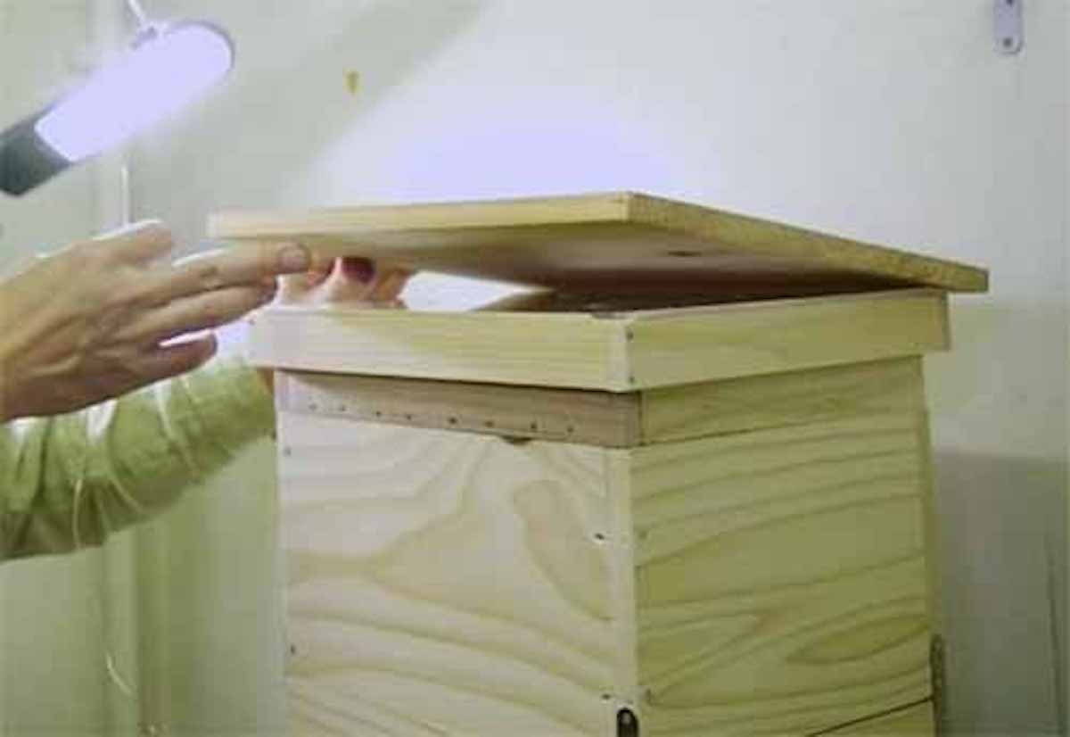 ミツバチがスズメバチを倒す方法：ヘウレーカ！【2019/10/16】