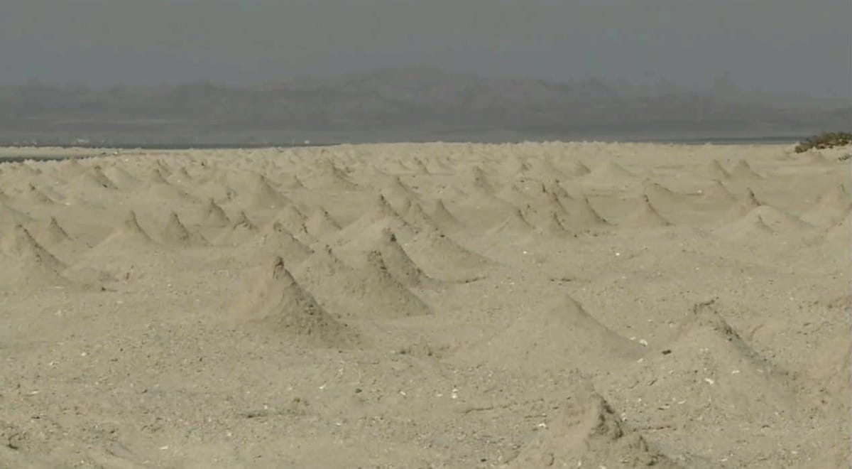 たくさんの砂山は誰が作っているのか？という話：０６５５【2020/06/11】