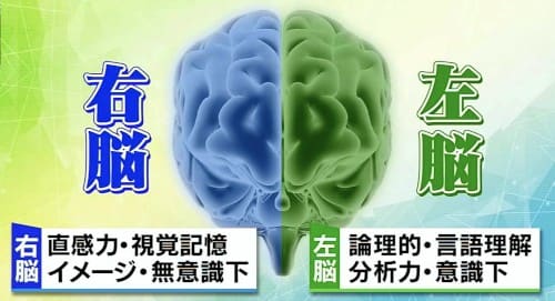 右脳と左脳