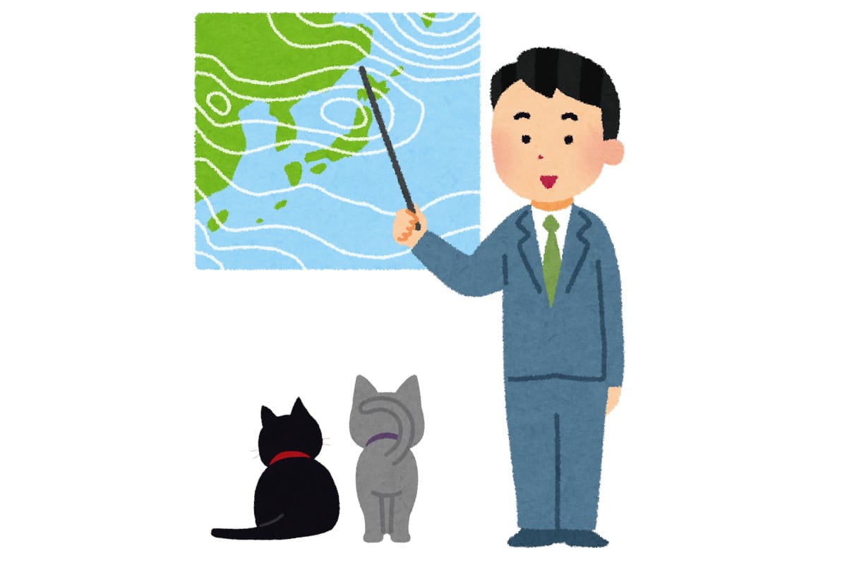 天気予報の平井さんが猫たちに人気！という話：０６５５【2020/10/12】