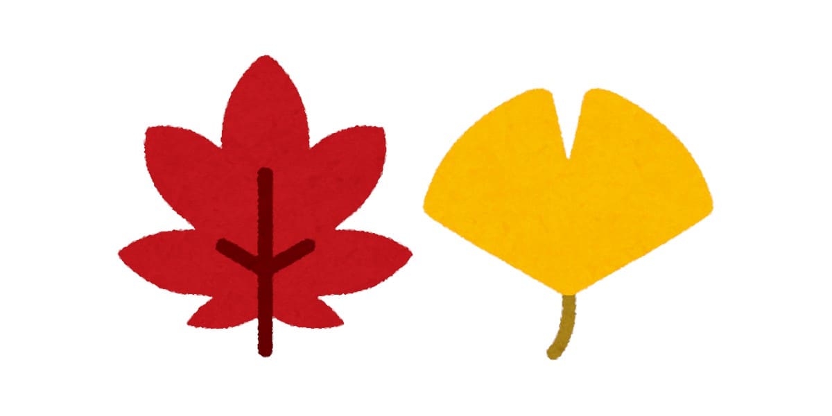 カエデが赤色でイチョウが黄色になる理由：ウェークアップ！ぷらす【2020/11/14】