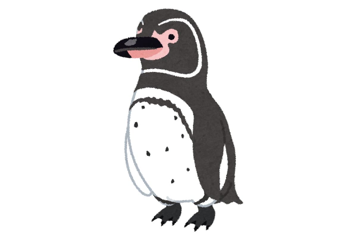 赤道直下にいるペンギンの話：グッとラック！【2021/01/15】