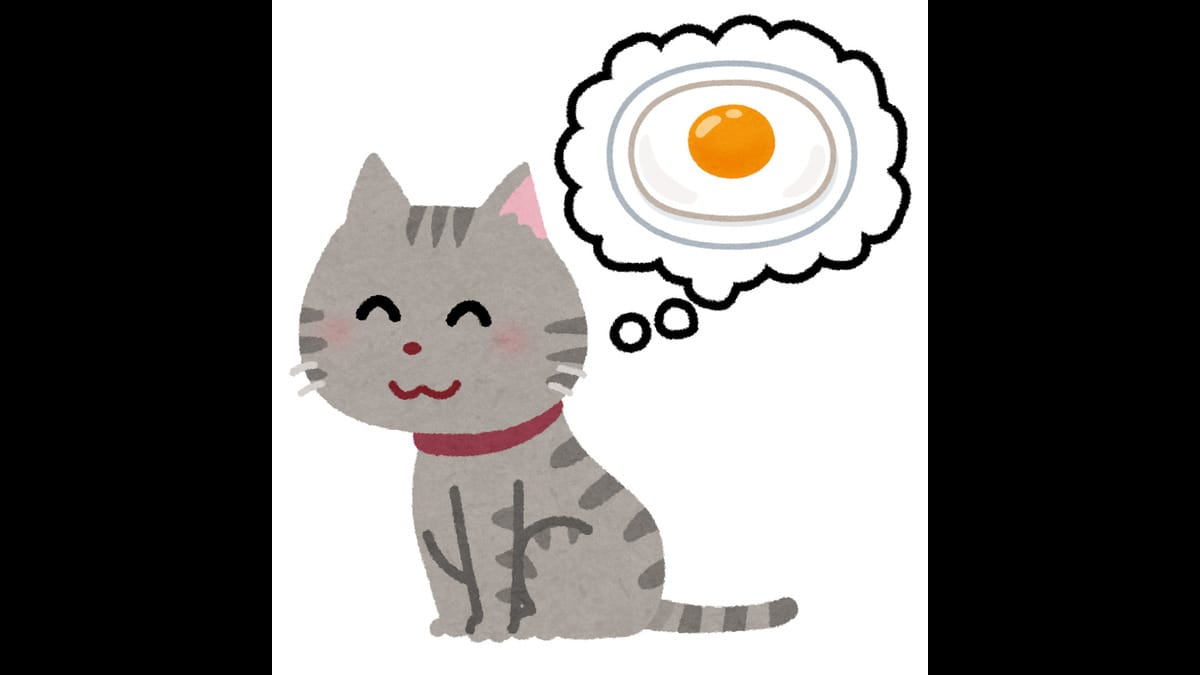 猫型の目玉焼きが作れるキッチングッズの話：めざましテレビ【2022/02/28】 
