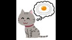 猫型の目玉焼きが作れるキッチングッズ：めざましテレビ【2022/02/28】