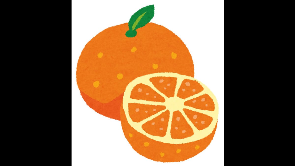 「私のオレンジの片割れ」：チコちゃんに叱られる！【2022/07/22】 