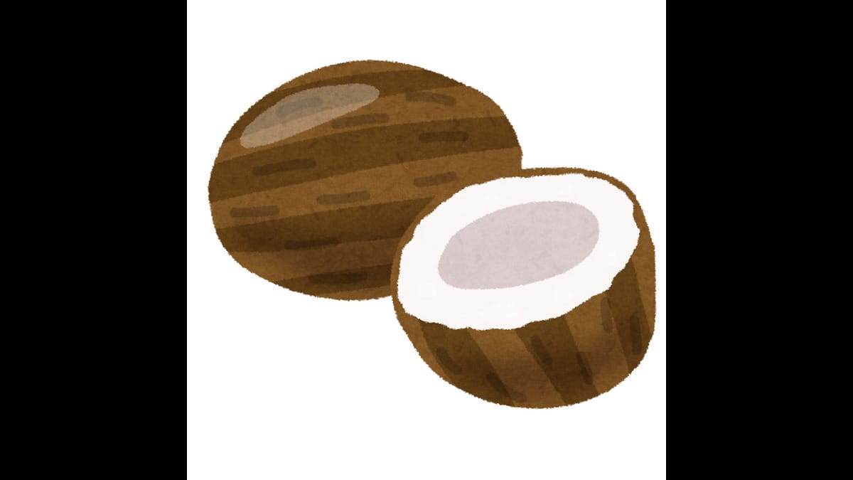 ココナッツの実を削り取る道具：ピタゴラスイッチ【2023/08/05】