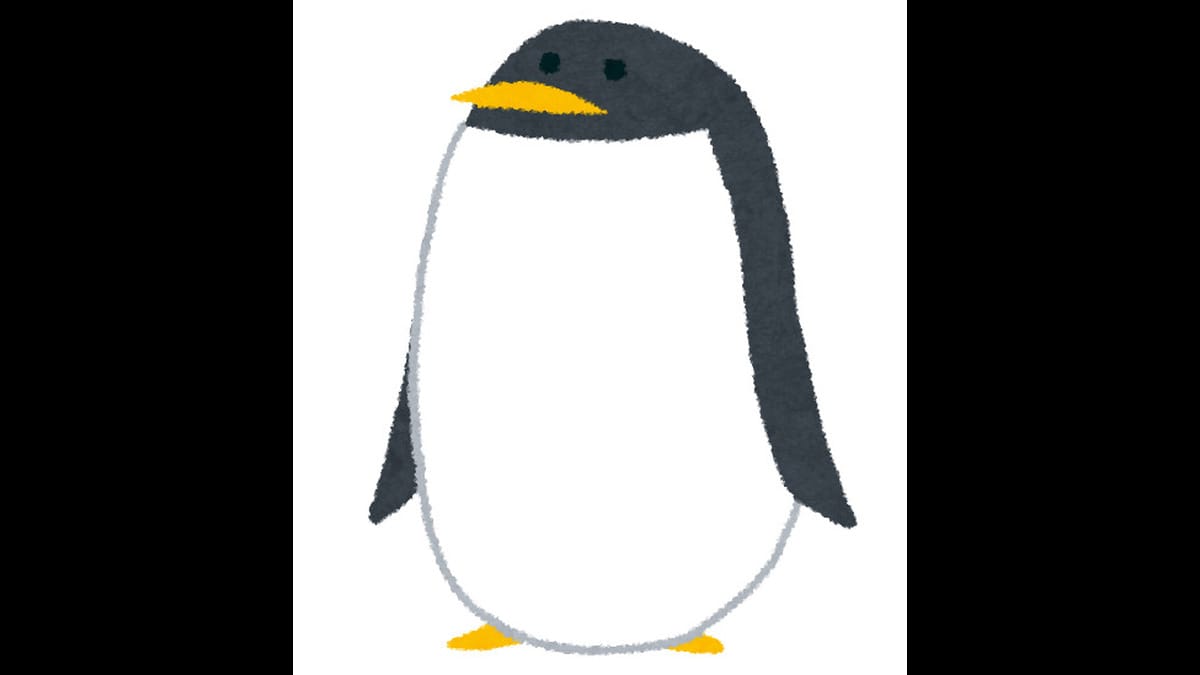 冷たい海が苦手なペンギンがいる？：THE TIME【2023/11/30】